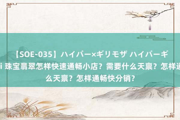 【SOE-035】ハイパー×ギリモザ ハイパーギリモザ Ami 珠宝翡翠怎样快速通畅小店？需要什么天禀？怎样通畅快分销？