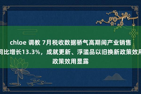 chloe 调教 7月税收数据骄气高期间产业销售收入同比增长13.3%，成就更新、浮滥品以旧换新政策效用显露