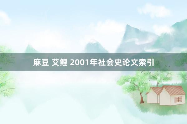 麻豆 艾鲤 2001年社会史论文索引