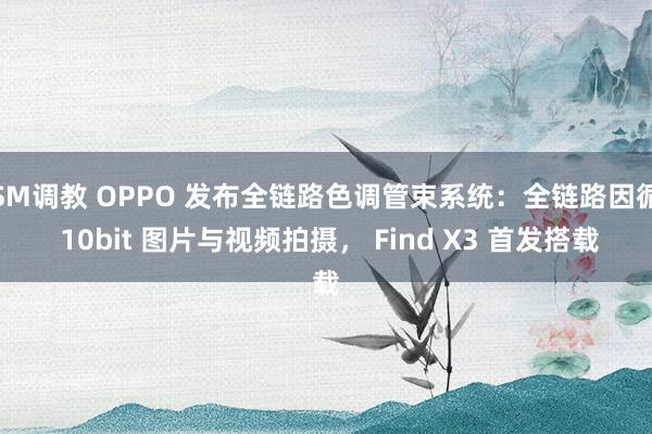 SM调教 OPPO 发布全链路色调管束系统：全链路因循 10bit 图片与视频拍摄， Find X3 首发搭载